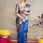 Silk Berry – Mandakini Silk Catalogue | Premium Lichi Silk Saree with Rich Zari Weaving