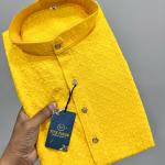 ✨ The Desi Edit Vol-5 – Chikankari Kurta in Viscose Rayon