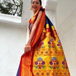 Rahi Paithani – Premium Soft Silk Paithani Saree Collection