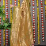 Amrut Paithani – Premium Pure Silk Handloom Saree Collection