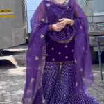 Velvet Opulence Designer Party Wear Set