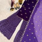 Velvet Opulence Designer Party Wear Set