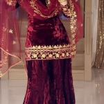 Velvet Majesty Designer Party Wear Set