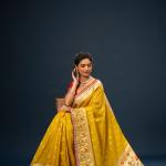 Rajshree Paithani Tissue Silk Zari Saree