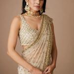 Butterfly Net Embroidered Saree with Blouse (TF)