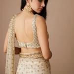 Butterfly Net Embroidered Saree with Blouse (TF)