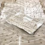 Butterfly Net Embroidered Saree with Blouse (TF)